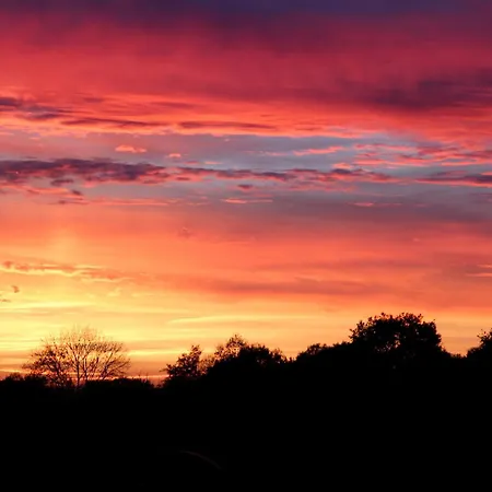 Bed & Breakfast Les D'hotes De La Metairie Du Bourg