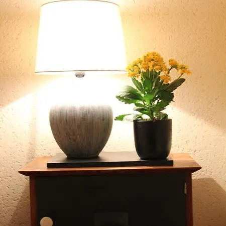 Les D'hotes De La Metairie Du Bourg Bed & Breakfast Les Herbiers